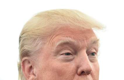 VER: Nuevo Pokemon ‘Gumshoos’ Se Parece a Donald Trump [Vídeo]