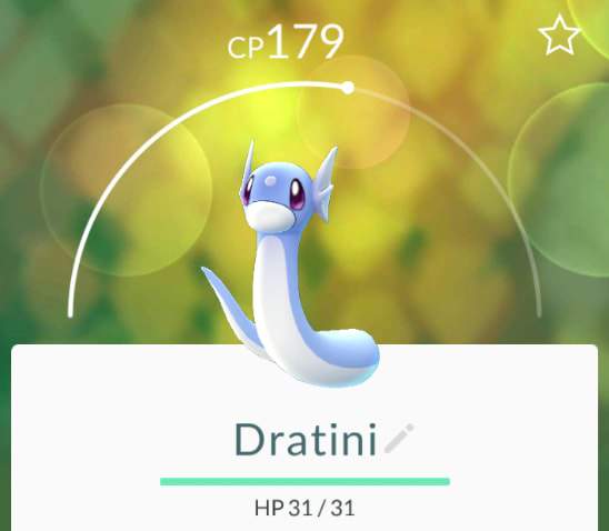 Dratini es un Pokémon dragón elusivo que generalmente se encuentra cerca de cuerpos de agua. (Reddit / SammyG94)