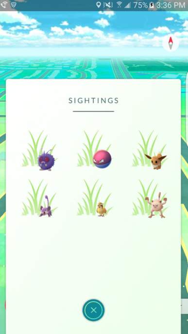 ¿Qué significa las hojas o pasto en la nueva actualización de Pokemon GO? Esta es una captura de pantalla del césped que parece. ( Reddit / Sk84life116)