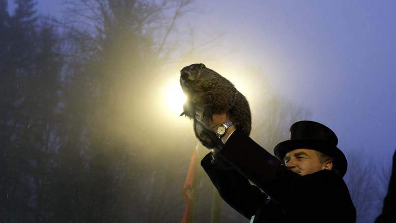 El manejador de la marmota John Griffiths con Punxsutawney Phil. (Getty)