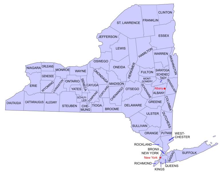 Nueva York condado
