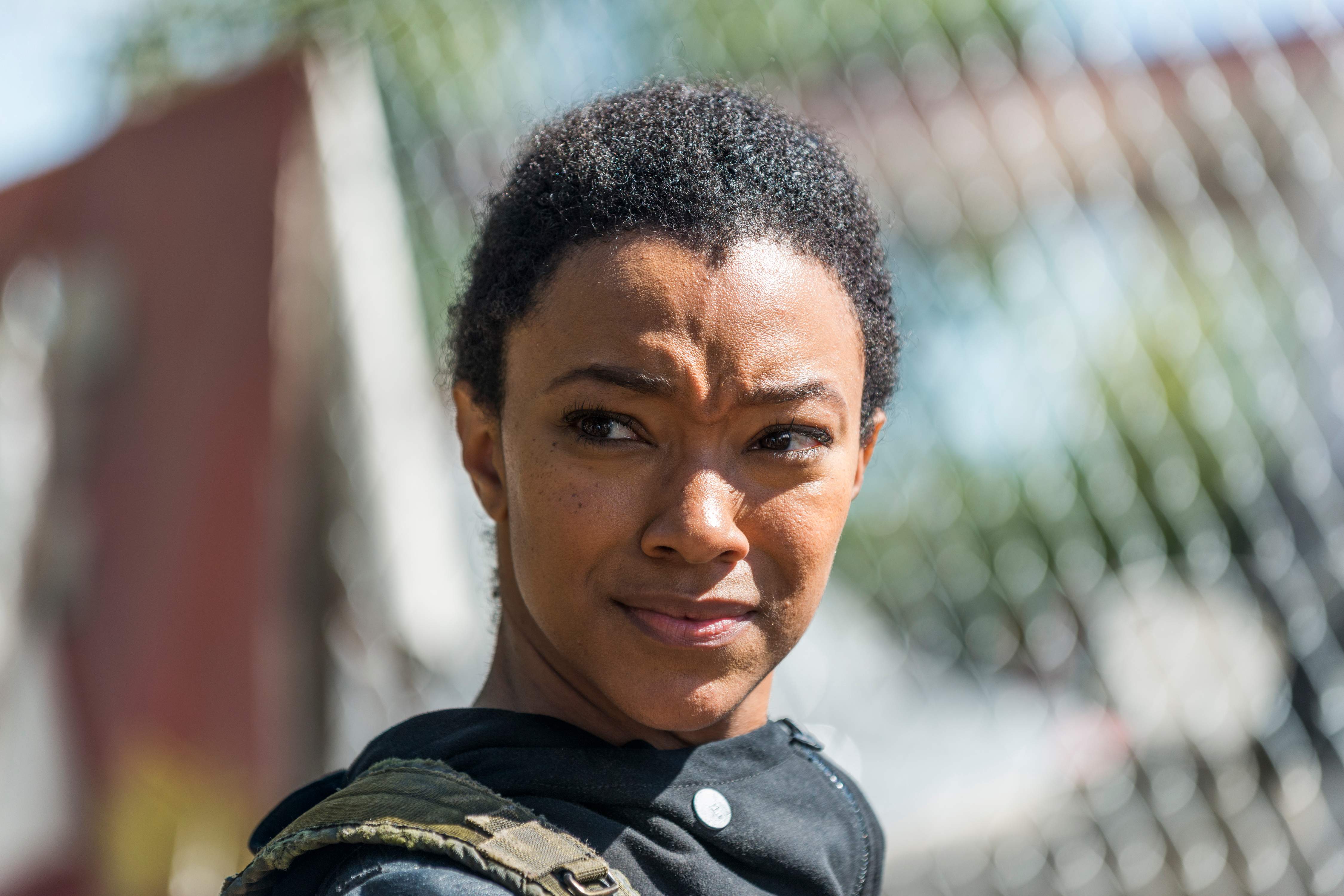 The Walking Dead Temporada 7 Capítulo 14 Spoilers Las