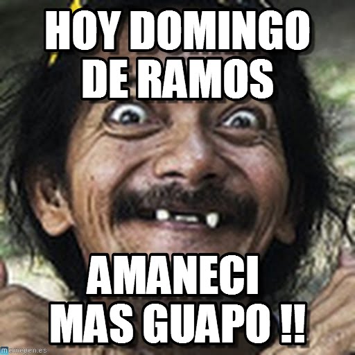 Domingo de Ramos Memes