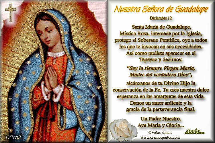 Virgen de Guadalupe 2018: Frases e imágenes para compartir