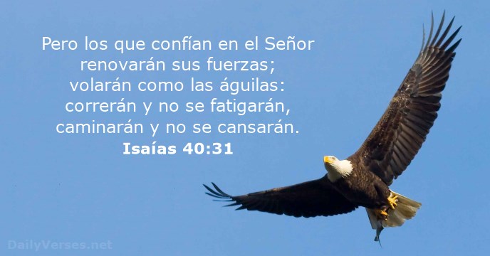 !Feliz Año Nuevo 2019!: Versículos de la Biblia para compartir, isaias-40-31