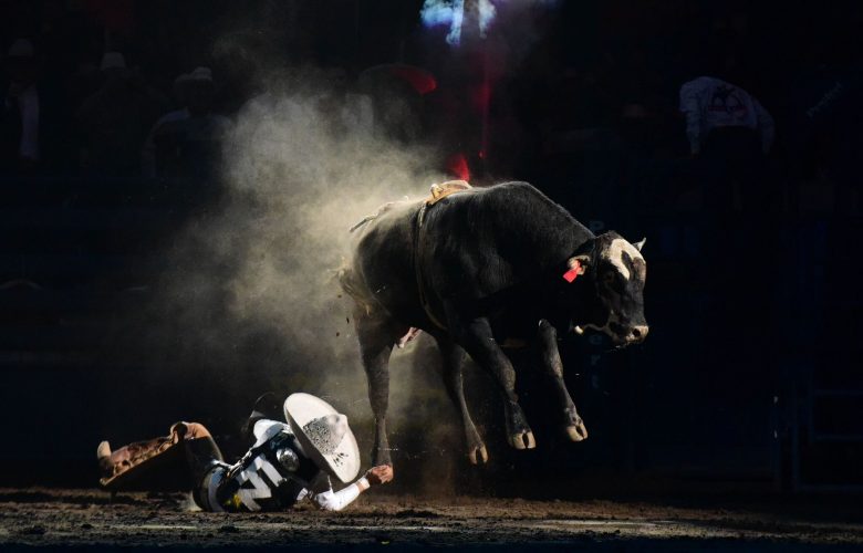 Pepe Aguilar y su familia : Las fotos que tienes que ver, Aguilar y su familia Show de Jaripeo Sin Fronteras, hijos, hijas, esposa