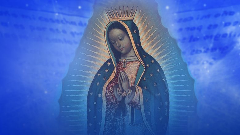 LIVE STREAM: ¿Cómo ver "La Rosa de Guadalupe" en vivo?, Univisión, Galavisión,