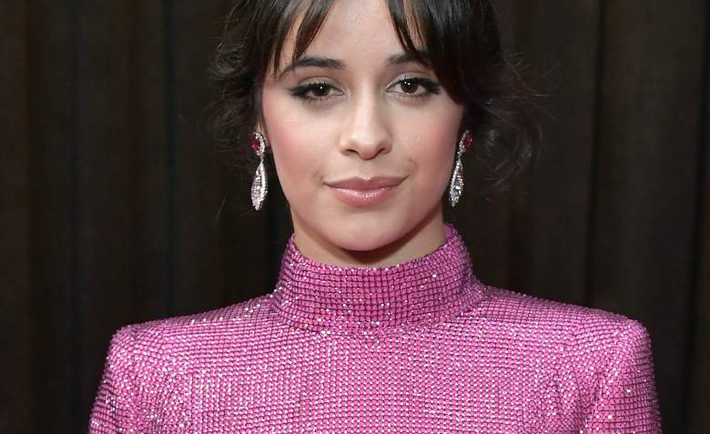 ¿Quién es el diseñador del vestido rosado de Camila Cabello en los Grammy 2019?