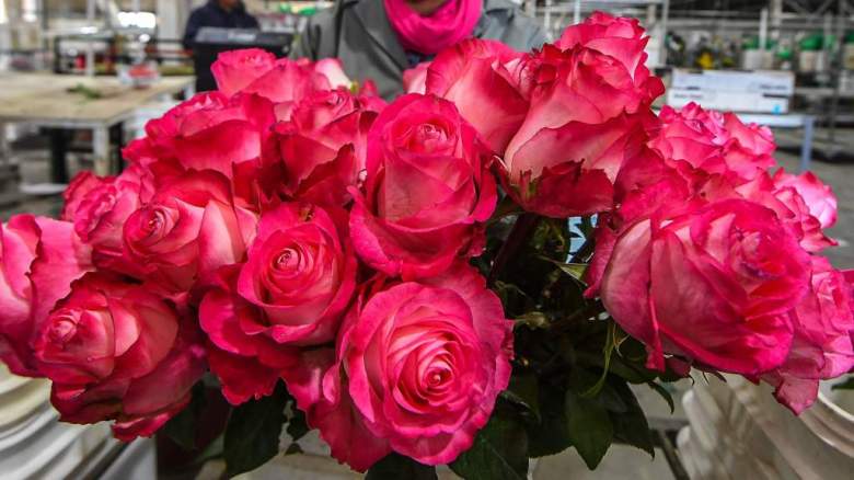 ¿Dónde comprar rosas en línea para que lleguen hoy en San Valentín 2019?, Flores en linea,