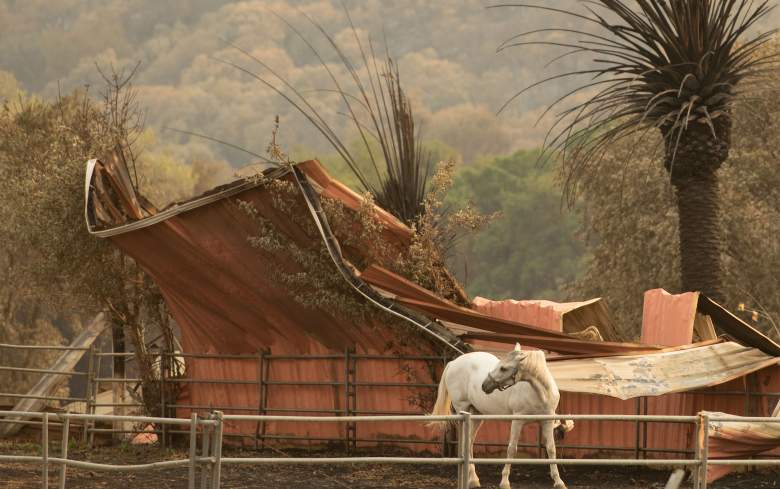 Históricos incendios en California