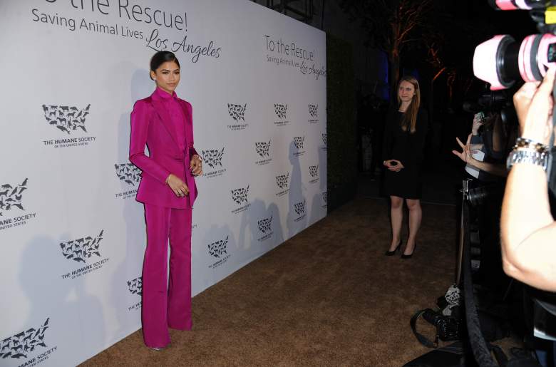 Los mejores 'looks' de Zendaya en la alfombra roja