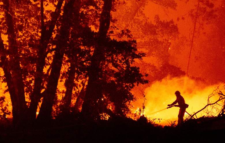 ¿Cómo ayudar a prevenir los incendios forestales?