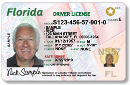 Licencia de Conducción del estado de la Florida. 
