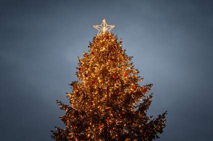 Feliz Navidad 2020: Versículos de la Biblia para compartir