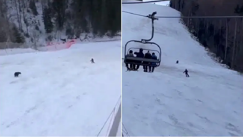Esquiador en Rumania es perseguido por oso