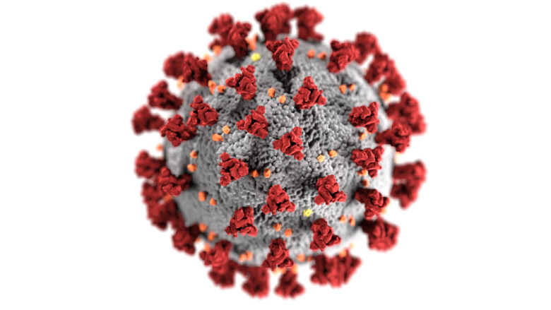 Coronavirus: Noticias actualizadas 27 de enero