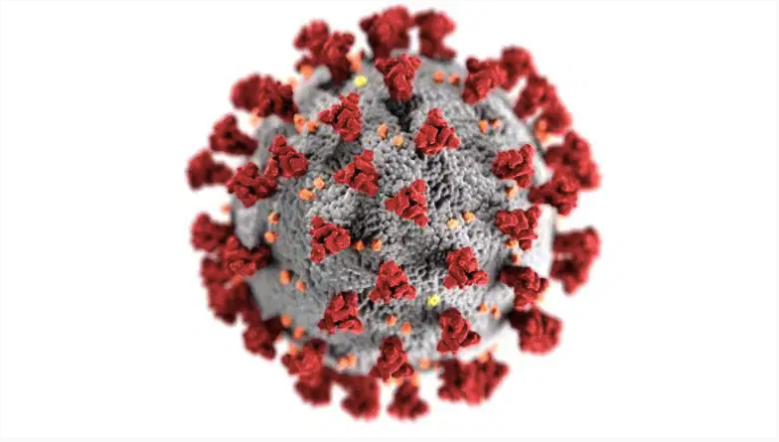 Coronavirus: actualización de noticias de COVID-19 para el 26 de marzo
