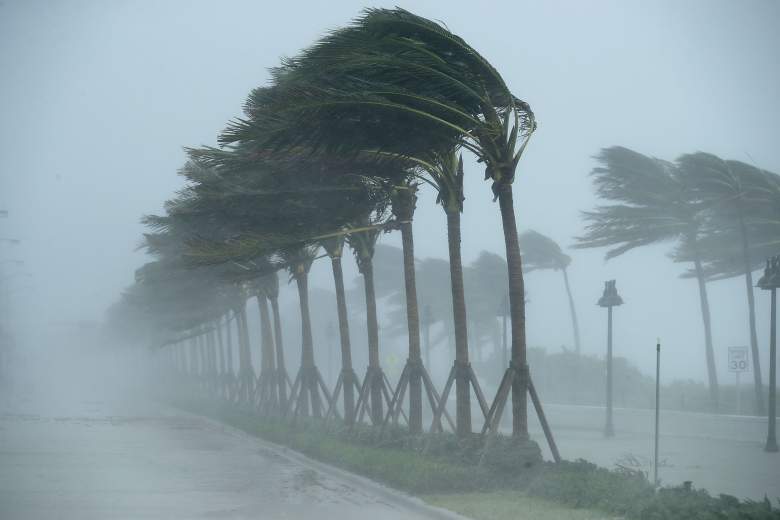 Los árboles se doblan en el viento de tormenta tropical a lo largo de North Fort Lauderdale Beach Boulevard cuando el huracán Irma golpea la parte sur del estado el 10 de septiembre de 2017 en Fort Lauderdale, Florida.