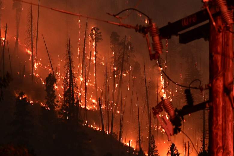Los pinos arden en la ladera de una colina en el Dixie Fire, en Twain, California, el 26 de julio de 2021.