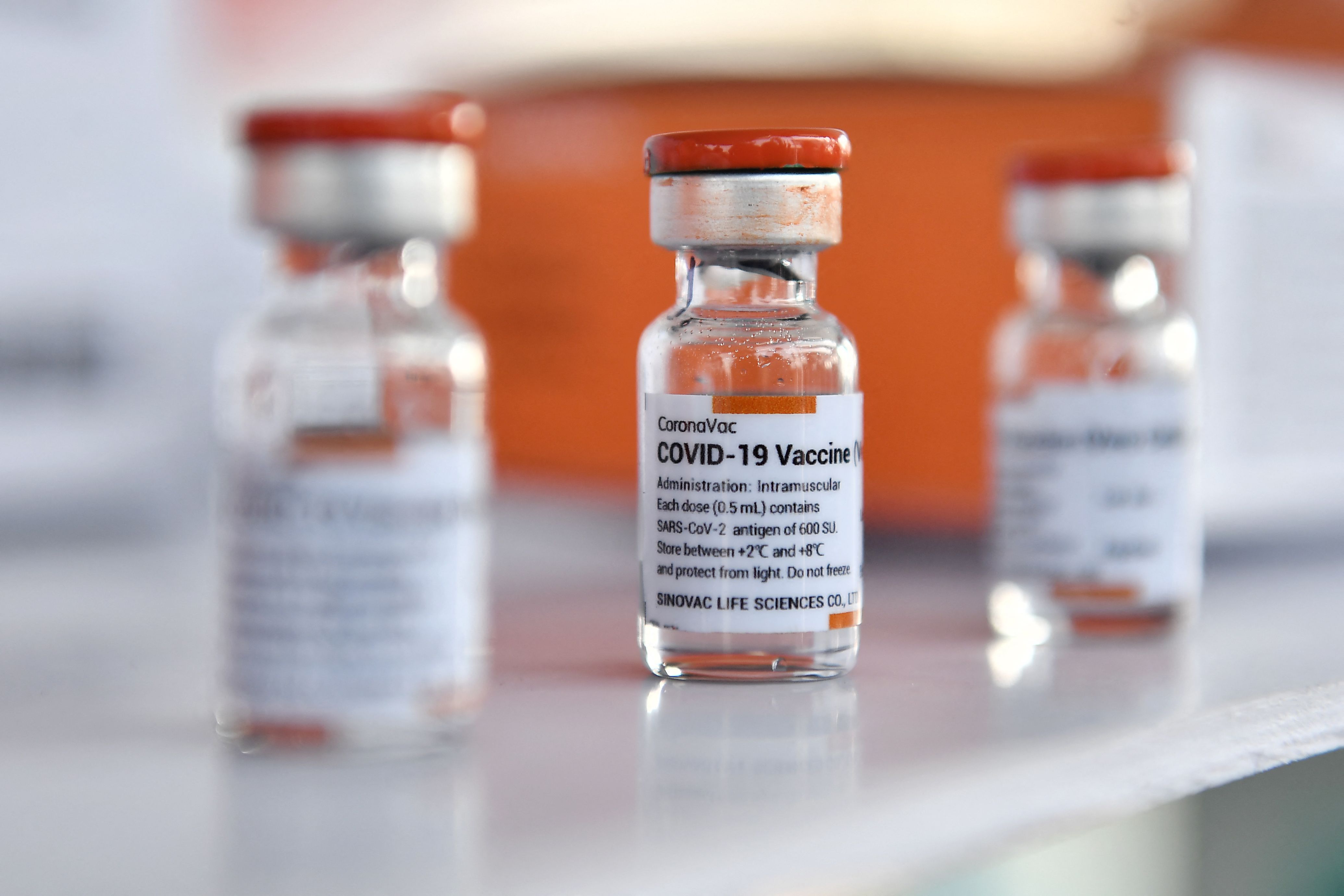 Los viales de la vacuna CoronaVac, desarrollada por la firma china Sinovac, se exhiben en Bangkok el 24 de febrero de 2021