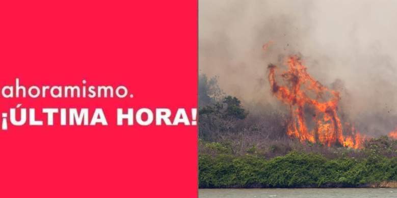 Incendios forestales en Florida obligan a la evacuación de al menos 1100 viviendas