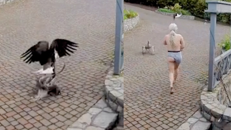 La mujer canadiense Cait Oakley se vuelve viral por salvar a su ganso mascota de un águila calva