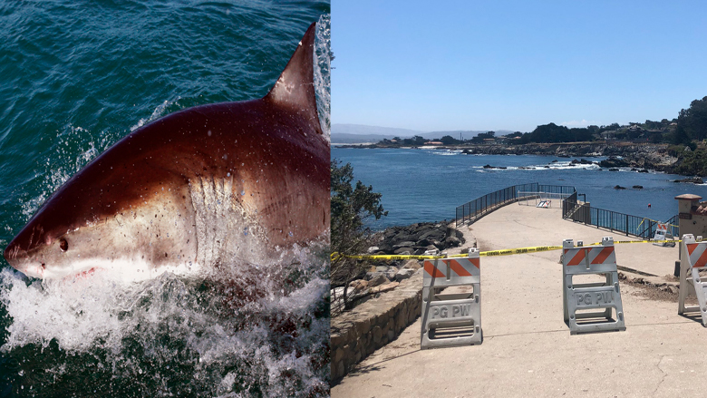 Un surfista en California fue hospitalizado el miércoles después de que, según los informes, fue atacado por un tiburón.