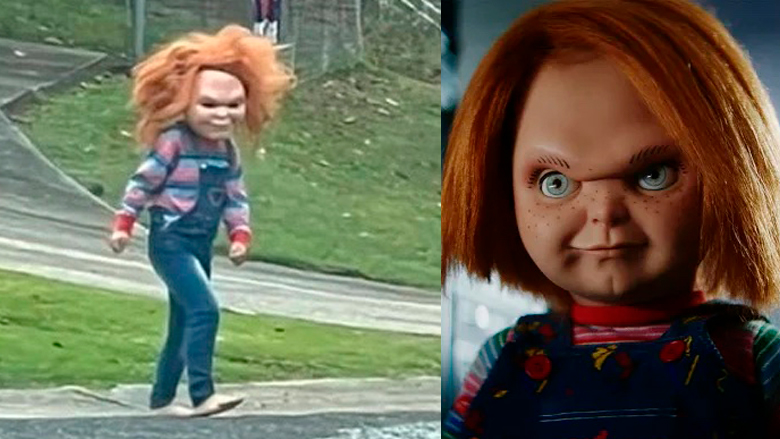 Kendra Walden publicó esta foto de Chucky en un vecindario de Pinson. La publicación se volvió viral. (Cortesía de Kendra Walden)