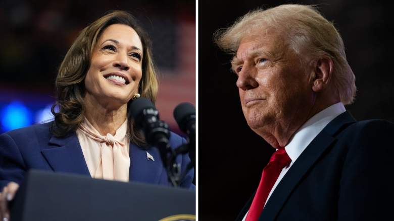 Trump acusa a Kamala de usar IA para crear gente falsa en sus eventos