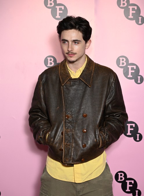timothee chalamet