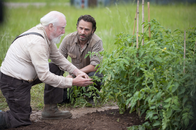 The Walking Dead Season 4