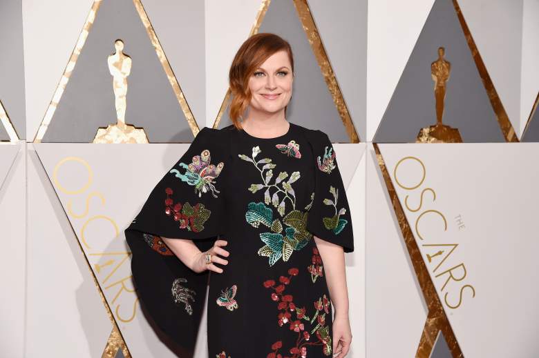 Amy Poehler dating, Benjamin Graf Amy Poehler, Amy Poehler boyfriend