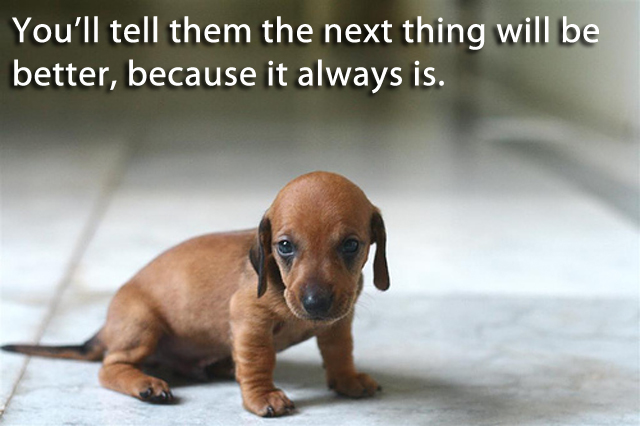 Don Draper Puppies