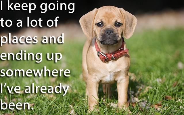 Mad Men puppies