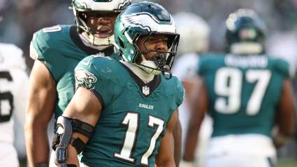 Los Vikings y Brian Flores son los elegidos como los mejores agentes libres para el puesto de ‘Mejor apoyador de blitzing’