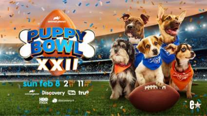 Horario y cartel del Puppy Bowl 2026