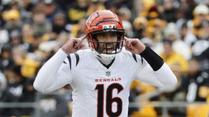 Los Bengals vuelven a fichar a un quarterback veterano para que sea suplente.