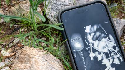 Los expertos afirman que la investigación forense digital es vital en el caso de Nancy Guthrie