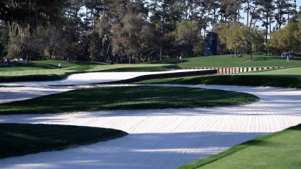 Conoce a Dexter, el perro de TPC Sawgrass con credenciales de acceso total