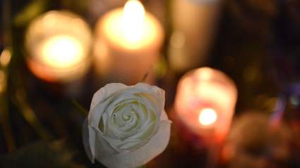 Luchador e hijo de un miembro del Salón de la Fama de la WWE fallece a los 39 años — Nuestras condolencias.
