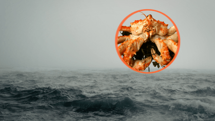 El compañero de tripulación de Todd Meadows revela exactamente qué sucedió a bordo del barco justo antes de que la estrella de 'Deadliest Catch' se perdiera en el mar.