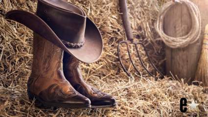 El aclamado dúo de música country se reúne tras su separación para su primera actuación en 4 años.