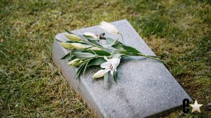 El tío de Angelina Jolie, compositor del éxito musical "Wild Thing", fallece a los 86 años.