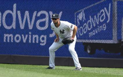 Un exjugador de los Yankees de Nueva York fue despedido por su nuevo equipo de la MLB.
