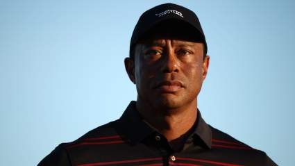 Documentos filtrados revelan que Tiger Woods hizo comentarios "inusuales" a la policía antes de su arresto.