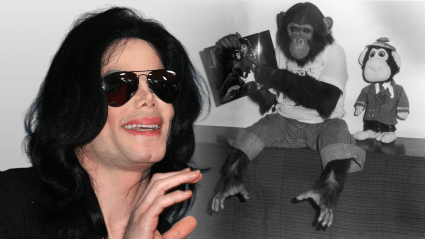 Bubbles, el chimpancé de Michael Jackson: ¿Dónde está ahora este animal de 43 años?