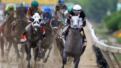 Probabilidades del Preakness 2026: Iron Honor lidera a los favoritos en una competencia muy abierta.