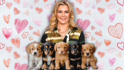 La estrella de Hallmark, Alison Sweeney, es homenajeada con un premio por su apasionada dedicación al rescate de animales.