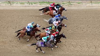 Posiciones de salida del Preakness Stakes 2026: Participantes completos, últimas bajas.