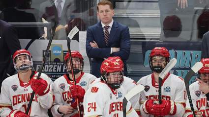 Según un informante de la NHL, David Carle es el principal candidato para el puesto de entrenador de los Leafs.